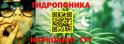 гидропоника Новокубанск