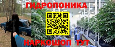 гидропоника Новокубанск