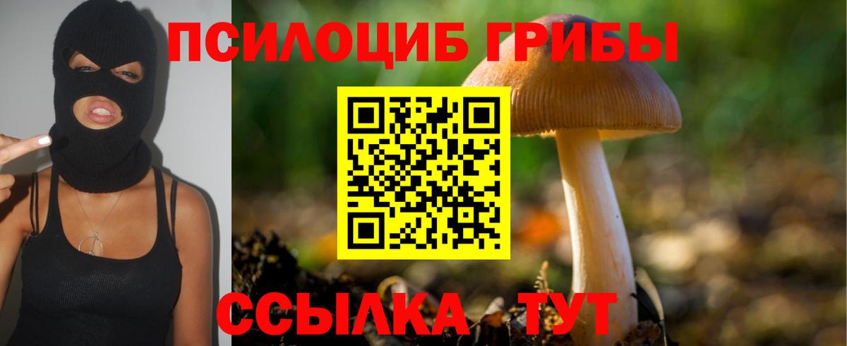 Псилоцибиновые грибы Cubensis  Вход с VPN  Химки 